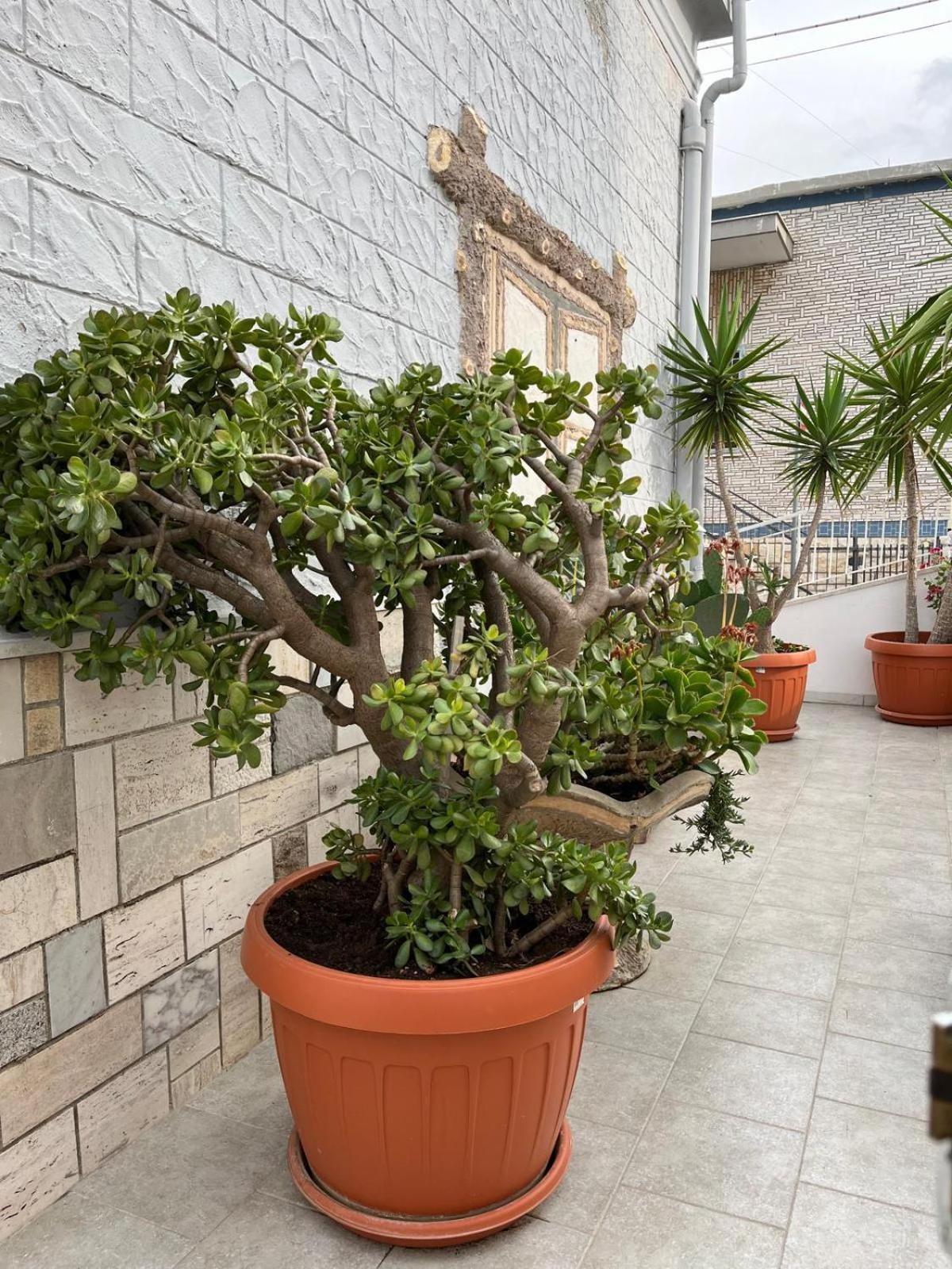 Casa Myda Bari Exterior foto